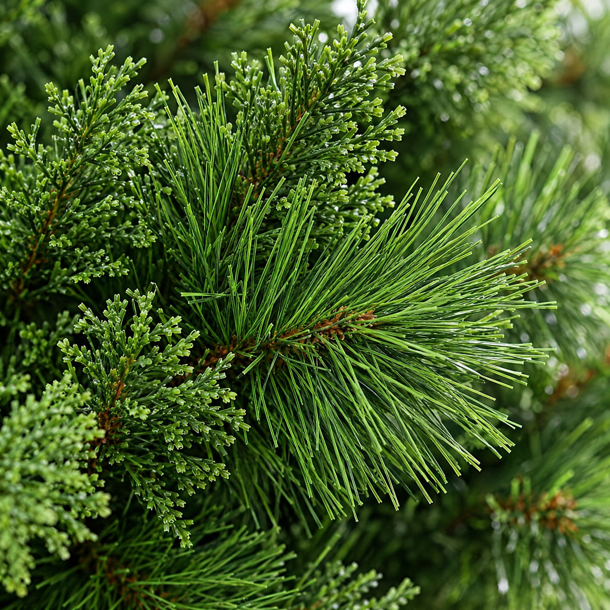 Artificial Christmas Tree 4ft, 5ft, 6ft – image 5
